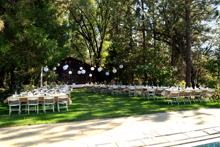 Wedding Chairs